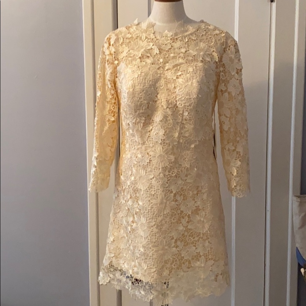NWT Lace  dress.  14 (fits like 10) champagne